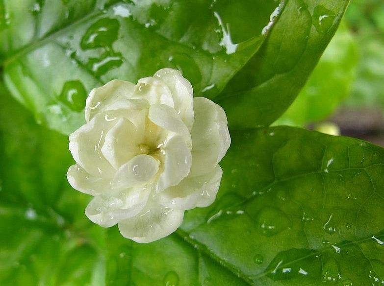 ������Ҫ�L�úÑ�(y��ng)ԓ����ʩ��������ʩ�ʼ��g(sh��)��