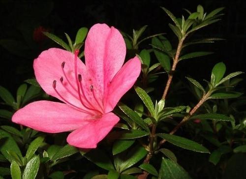 ���N����ʩ��Ҫ�c��ʲô�����N����ԓ���ʩ�ʣ�