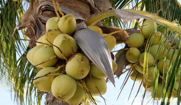 Ҭ�Ә䲻ͬ�r�ڑ�ԓ���ʩ����Ҭ�Ә�ʩ�ʼ��g��