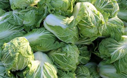 ����֮����ԷNֲʲô�߲ˣ��@���N���ܺ��m��