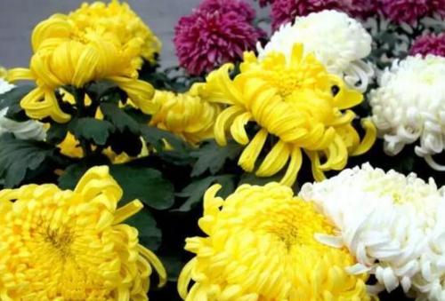 �ջ���Ҫ�L�úÑ�ԓ����ʩ�����ջ�ʩ�ʼ��g��