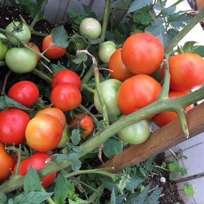 �ļ���ηN���߮a���ѣ����ѱ����������g��