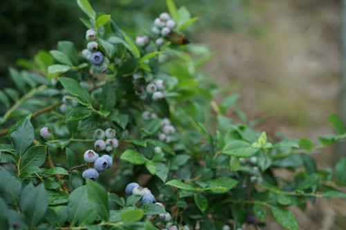 �{(l��n)ݮȱ�ض���ʲô���F(xi��n)����(y��ng)ԓ��η��Σ�