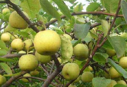 ���� ���������� ��߮a(ch��n)���б��C��