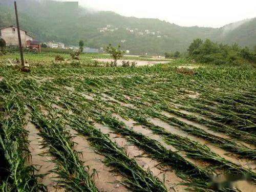 ˮ��(z��i)�^����Ҫ��������ˮ������ʩ