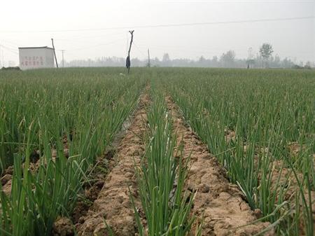 ����[����M�и߮a������