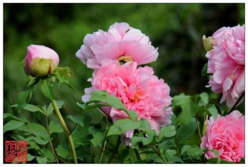 ĵ��ԓ���ʩ�ʣ�ĵ��ʩ������ЩҪ�c��