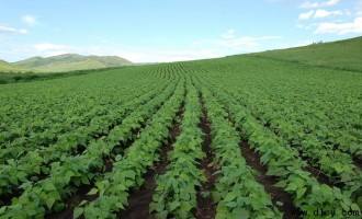 �����������a��������߮a���༼�g��