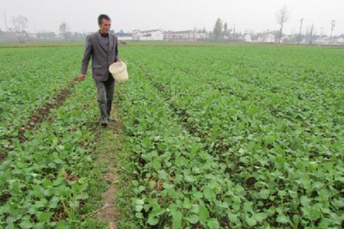 �Ͳ˵�ʩ�ʕr�g��ʲô�r�򣿑�ԓ����ʩ�ʣ�