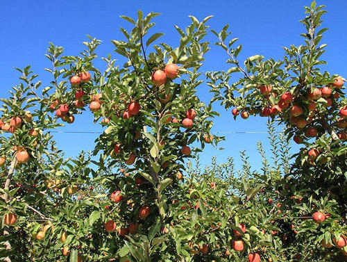 �O����߮a��ɶ���E��