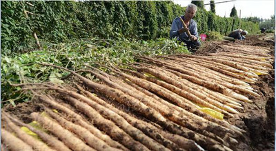 ɽˎ��������c��ʲô���Nֲɽˎ��(y��ng)ԓ���ʩ�ʣ�