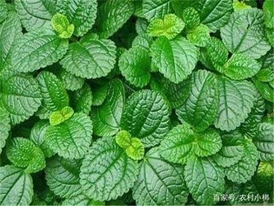 ����ʩ����ʲô���ϣ���ԓ��ôʩ��