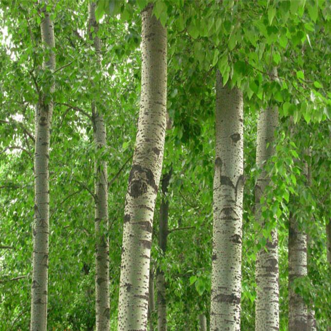 ��䑪ԓ��ʲô�r��ʩ����һ��ʩ�״η���