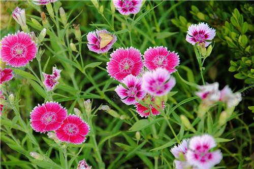 �Nֲʯ��ԓ��ʲô�r��ʩ�ʣ���ԓ��ôʩ����