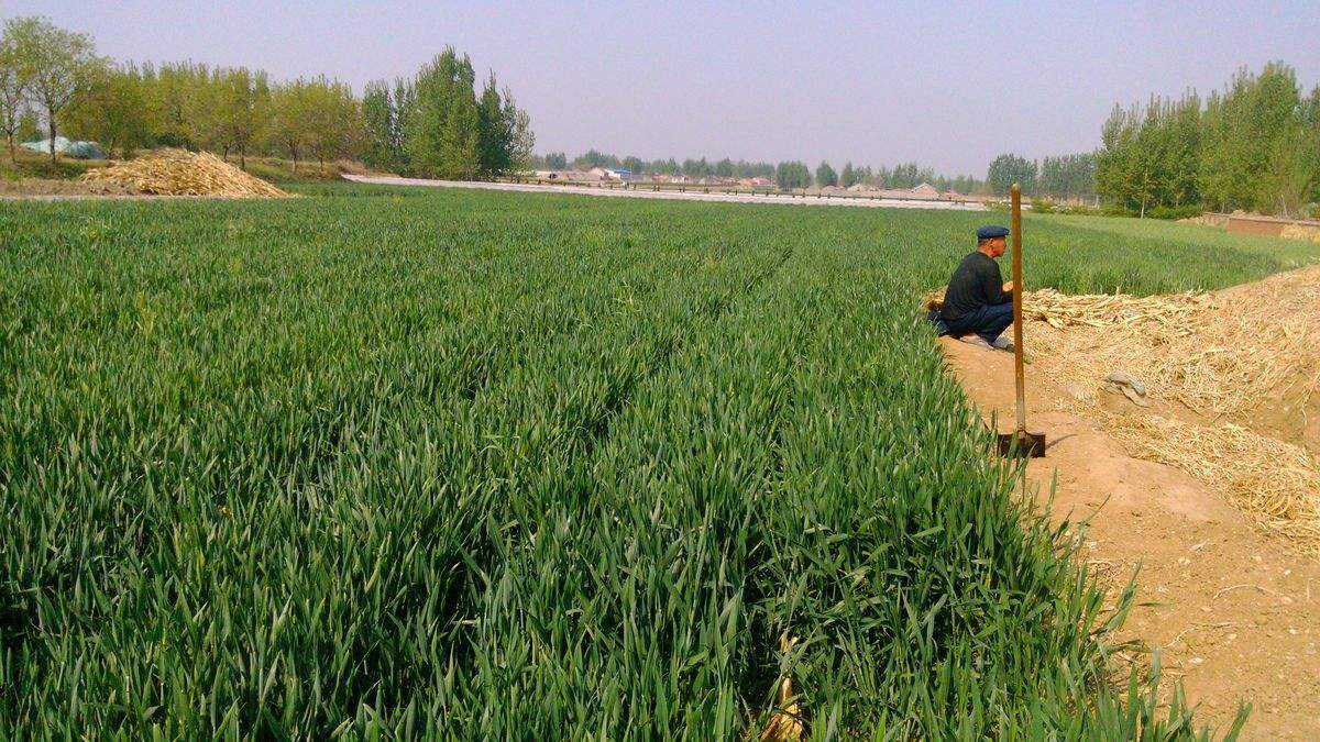 �Nֲ��С����ԓ���ʩ����ʩ�ʕr��Ҫע��ʲô��