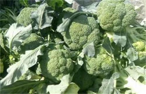 ���m����Ҫ�еĺÑ�ԓ���ʩ�������m���ƌWʩ�ʼ��g