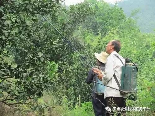 ���ٶ���ʩ������Щ�`�^����ԓ������_ʩ�ʣ�