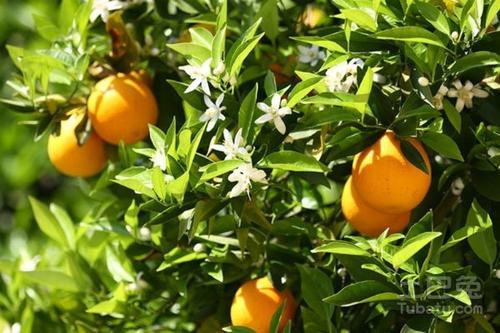 ���Ә��ڲ�ͬ�A�Α�(y��ng)ԓ���ʩ�ʣ����Ә�ʩ�ʼ��g(sh��)��