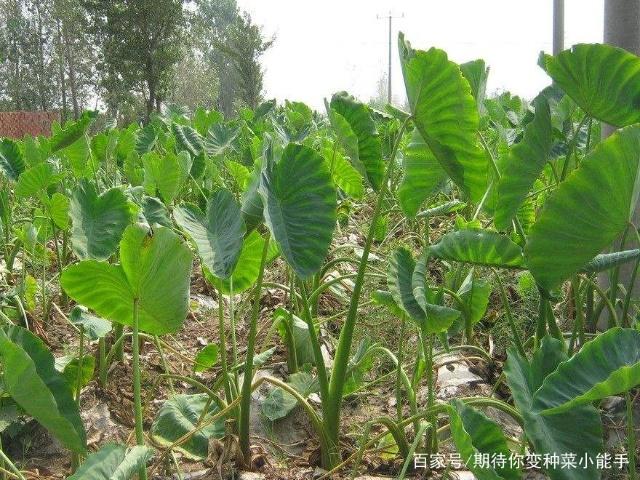 �Nֲ���^��ԓ���ʩ�������^ʩ�ʼ��g��