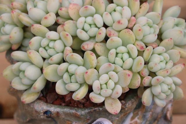 �Bֳ�����費��Ҫʩ�ʣ����֑�ԓ��ô����