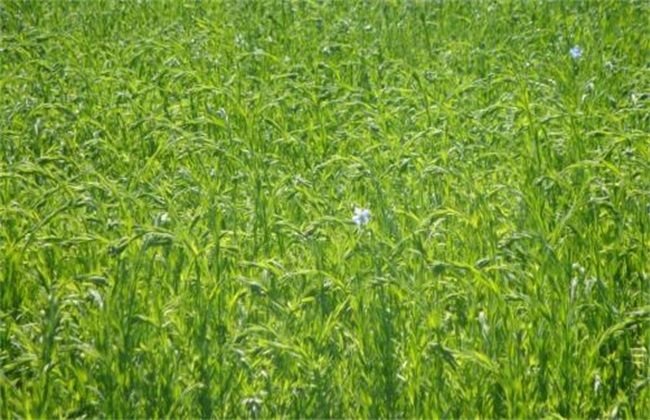 �_ʩ�ʑ�ԓ���ʹ�����_ʩ�����_ʹ�÷�����