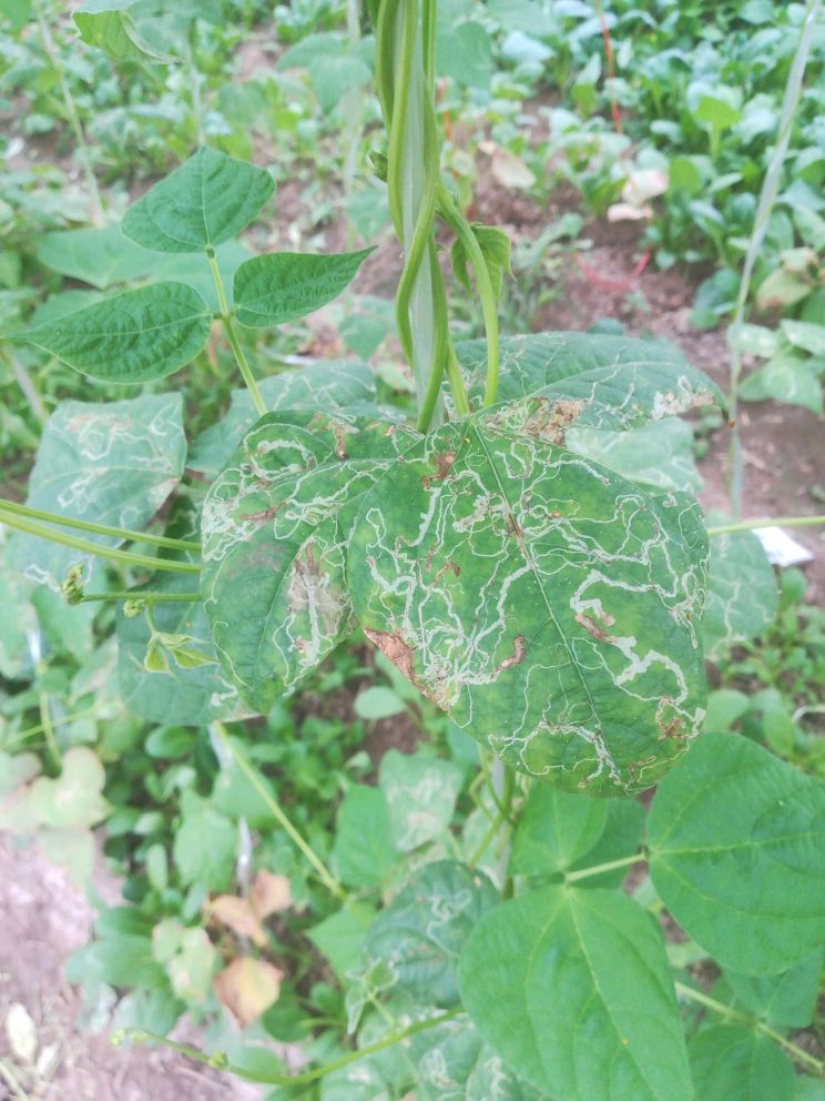 �|�������ڑ�ԓ���ʩ������Ҫע��ʲô��