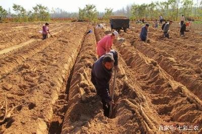 ɽˎ��Ҫ�߮a��ԓ���ʩ�ʣ�ɽˎ��������c��ʲô��