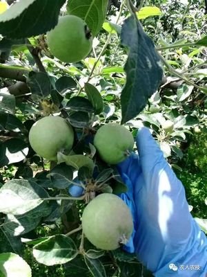 ��ء�����ʽ���½� �������Ҫ����