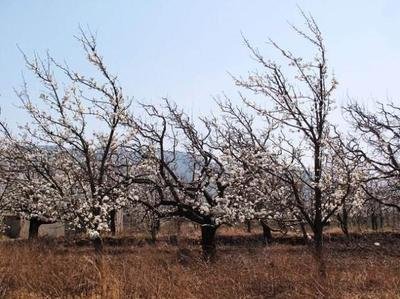 ������@������Ҫ�c(di��n)