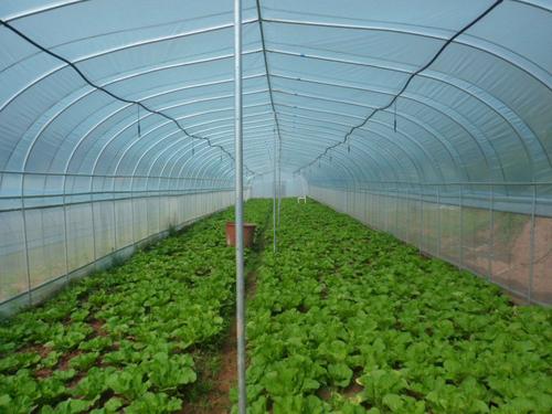 ���������߲�ԓ��ι��������������߲˹���Ҫ�c��