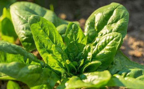 Խ�����ˑ�ԓ���ʩ�ʣ���ʲô������