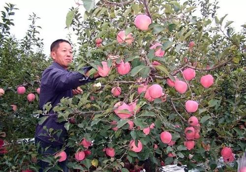 �O���@�����߻���Ч�����O���@ʩ���ʼ���