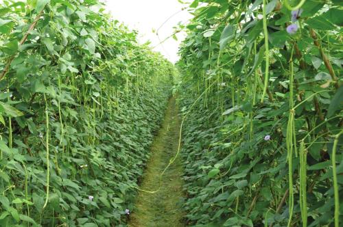 �����ĿƌW(xu��)ʩ�ʷ�����ʲô������ʩ�ʼ��g(sh��)��