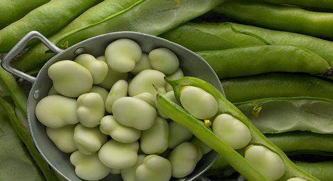 �Q����Ҫ�߮a��ԓ���ʩ�����Q����������c��ʲô��