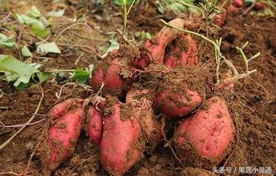 ���������Ҏ(gu��)����ʲô������ʩ������ЩҪ�c��