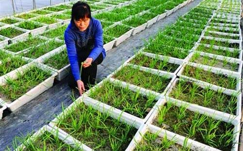 �o�����߲ˑ�ԓ����ʩ�ʣ���Ҫע��ʲô��