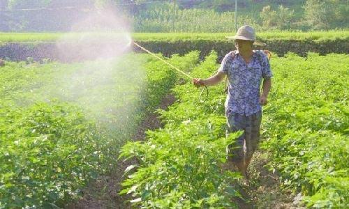 �ͺϷ��c������Ă����^�ã�ɶ�����m�Ͼ���ጷʣ�