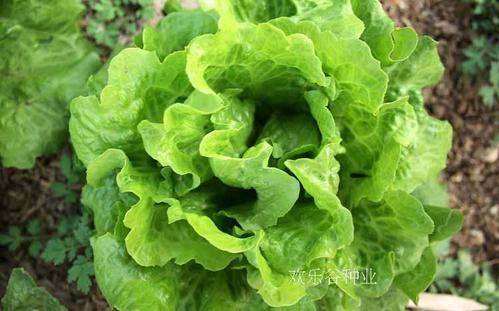 �������ʩ����ʣ�����ԓ���׷�ʣ�