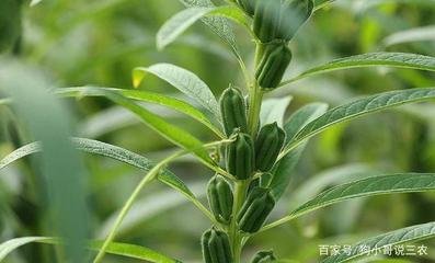 ˮ�໨�ܑ�ԓ���ʩ�ʣ�ӛס�@���c��