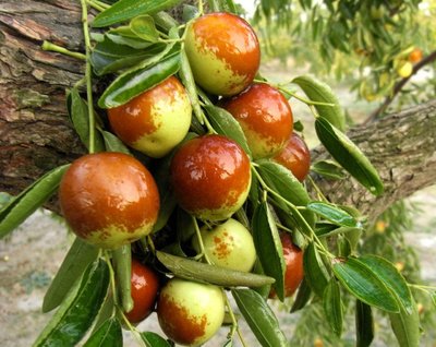 ������ԓʩʲô���ϣ���ԓ��ʲô�r��ʩ�ʣ�