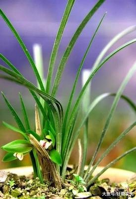 �m���~��ʑ�ԓ���ʩ�ʣ���Ҫע��ʲô��