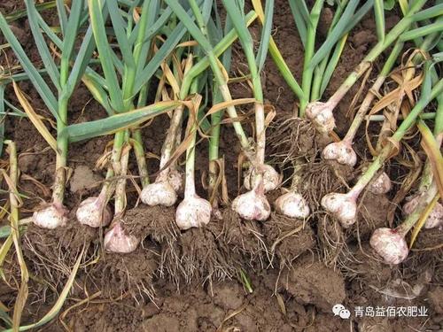 ������Ҫ�߮a��ԓ���ʩ�ʣ���Ҫע��ʲô��