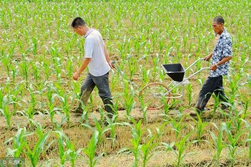 ������@��������ʲô����ԓ���ʹ�ã�