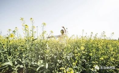 �Ͳ���Ҫ�߮a��ԓ���ʩ�����Ͳ�ʩ�ʼ��g��