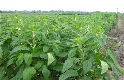 �Nֲ֥�鑪ԓ���ʩ�ʣ���Ҫע��ʲô��