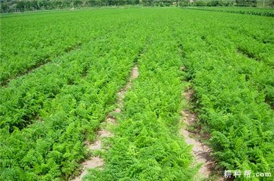 ˮ���Է�������Щ���ݣ���ԓ���ʹ�ã�