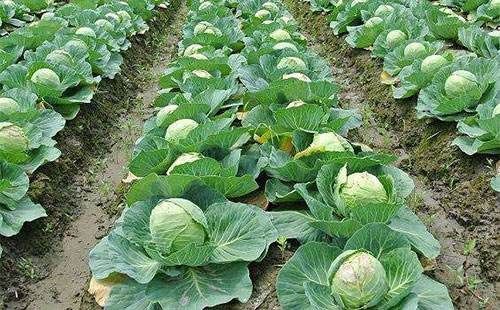 ��ˑ�ԓ����ʩ�ʣ���˛_ʩ��ʩ�ü��g��