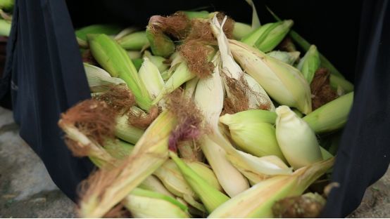 ����������ο������N������Щ���gҪ�c��