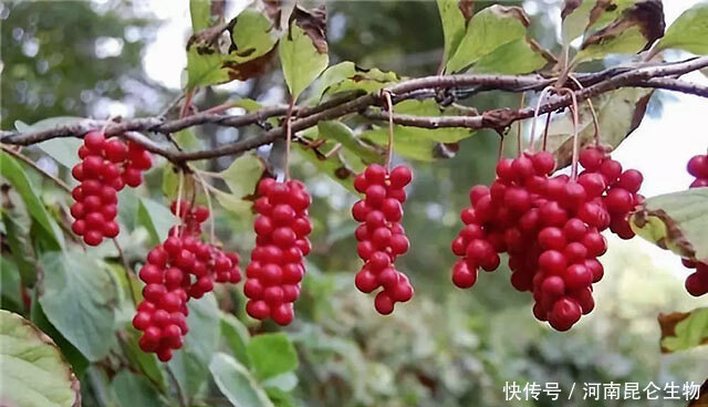 ��ζ����Ҫ���a(ch��n)��(y��ng)ԓ���ʩ����ӛס�@���c(di��n)��