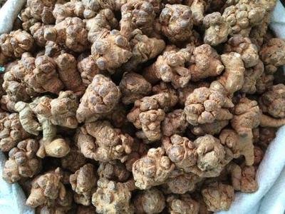 ���ߵ����Ҏ����ʲô����ԓ���ʩ�ʣ�